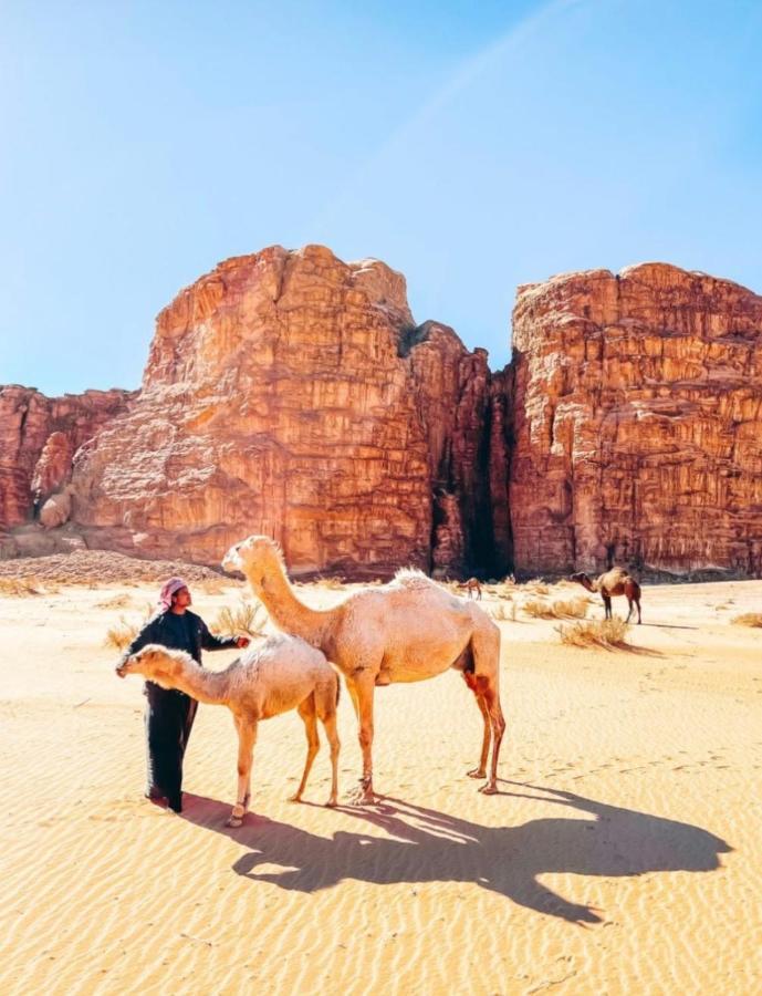 Wadi Rum Tents Luaran gambar